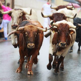 牛追い祭り San Fermin