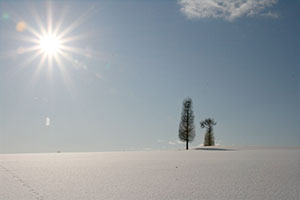 Niseko Northern Resort, An'nupuri