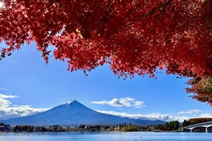 Fuji Lake