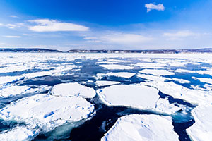 Okhotsk Drift Ice