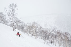 Niseko Northern Resort, An'nupuri