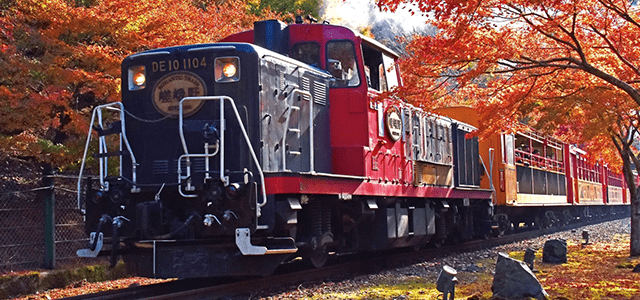 Kyoto Sagano Romantic Train in Arashiyama Bus Tour