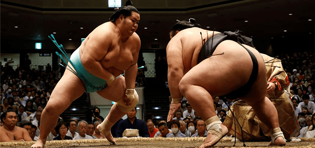 Ultimate Grand Sumo Watching and Hakata Geisha in Fukuoka