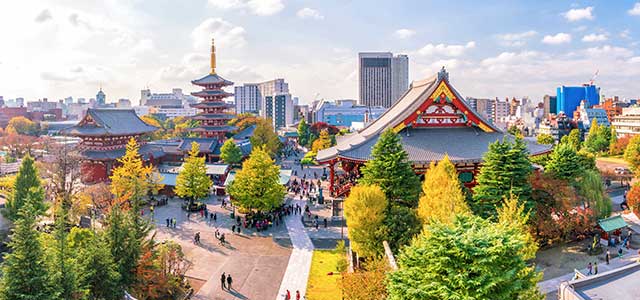 Tokyo Half Day Morning Tour