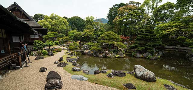 Tokyo & Kyoto Divide Up, 7 Days, Independent Tour