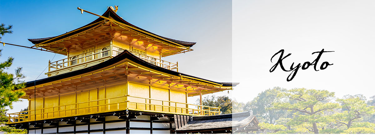 Kinkakuji, Nijo Castle, Heian Shrine and Gion