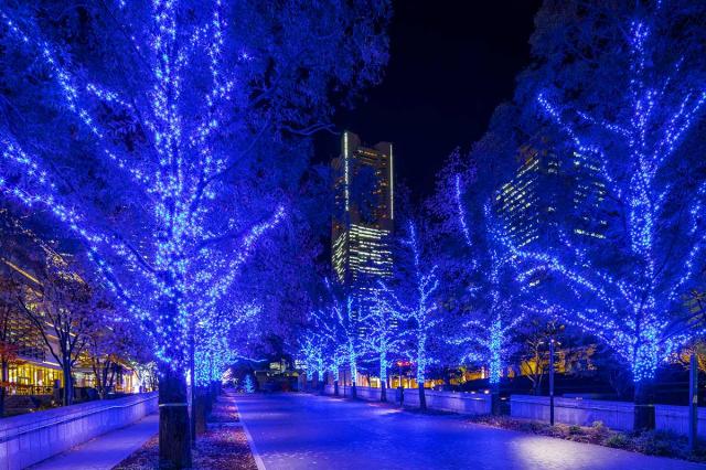 How to enjoy Yokohama in winter