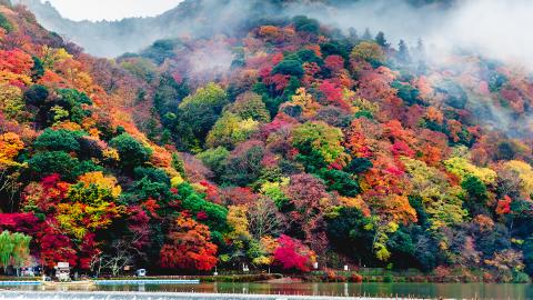 Fall Foliage in Arashiyama