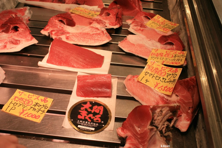 Amazing Cutting Toro(Tuna)