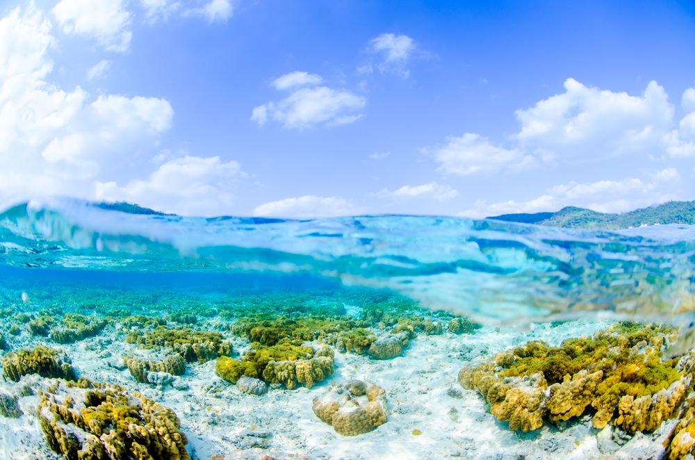 The clear waters of Zamami-jima Okinawa