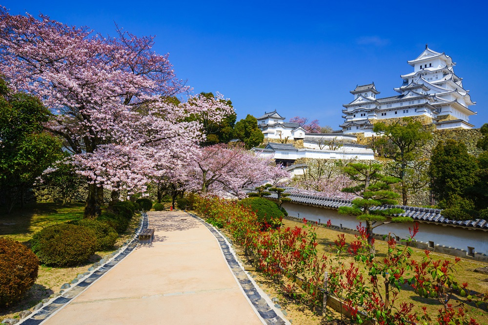 Spring in Japan 2023: Traveling, Clothing, and Weather in March