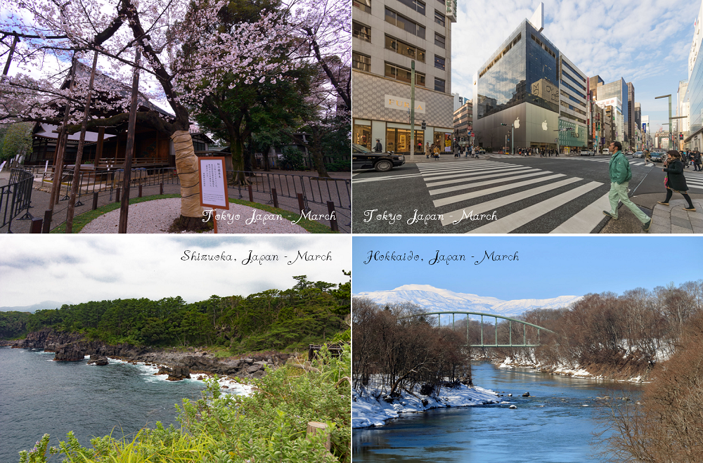 A Guide to Japan March and April