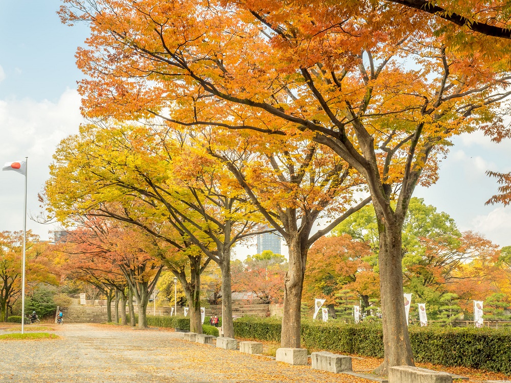 Japan in October: Travel Tips, Weather, and More