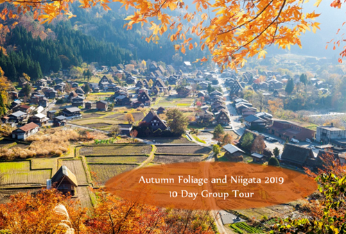 Autumn Foliage and Niigata 2019