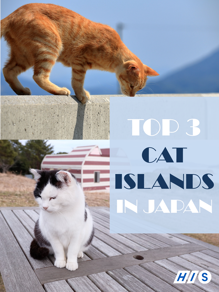 Top 3 Cat Islands in Japan Pinnable Poster