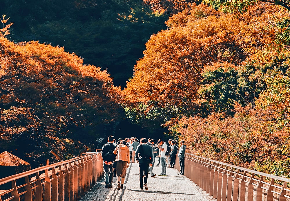 November in Japan