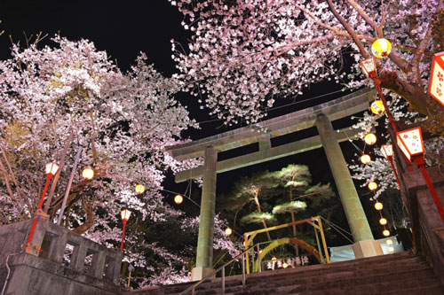 Cherry Blossoms in Kinugawa Hot Springs