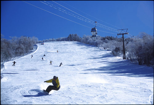 Skiing and Snowboarding in Tochigi