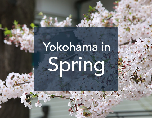 How to Enjoy Yokohama in Spring