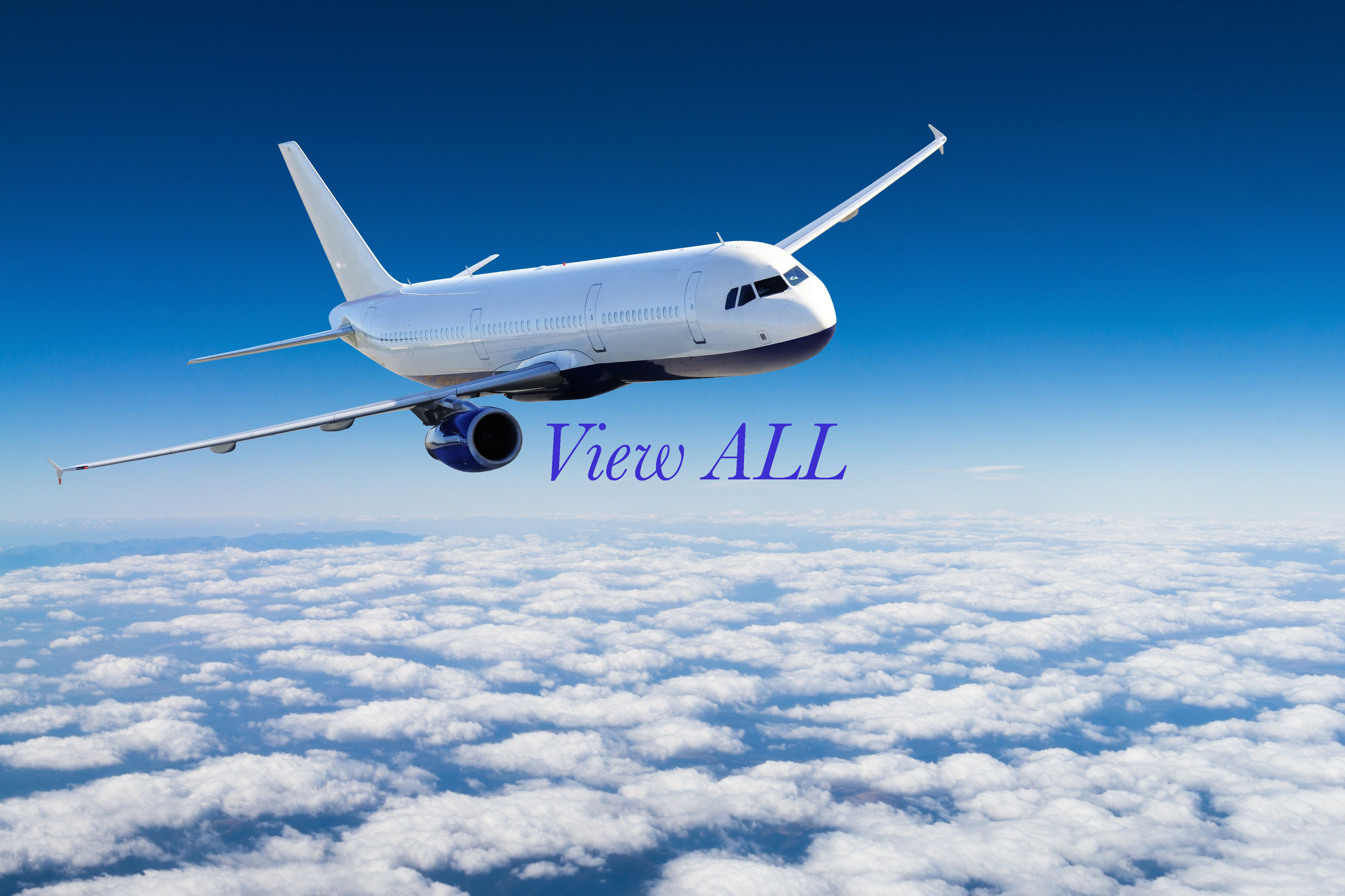 View All: Flights