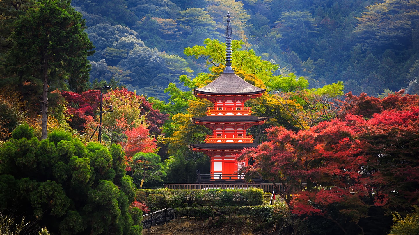 Japan Package Tours