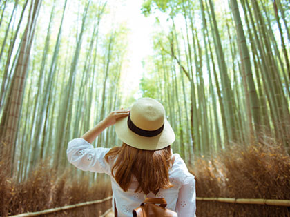 Sagano Bamboo Grove & Arashiyama Walking Tour *with Yakatabune Lunch Cruise (N250)