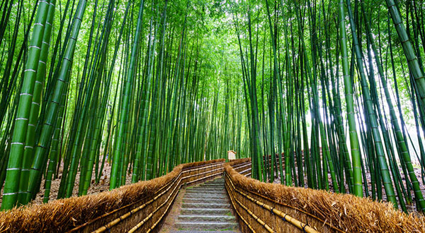 Arashiyama - Japan’s Most Spectacular Views