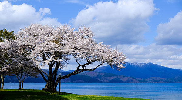 Lake Tazawa - Japan’s Most Spectacular Views