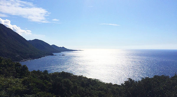 Yakushima - Japan’s Most Spectacular Views