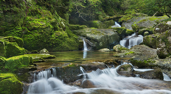 Yakushima - Japan’s Most Spectacular Views