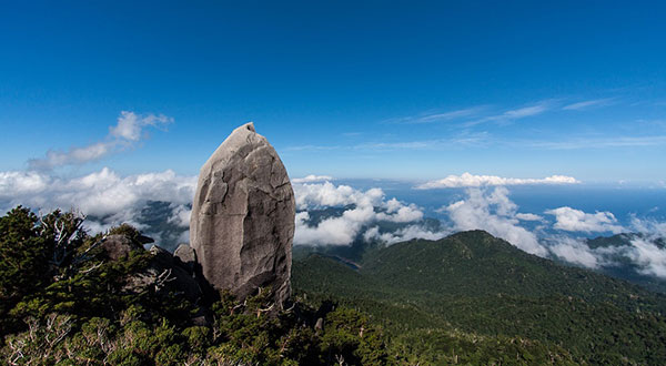 Yakushima - Japan’s Most Spectacular Views