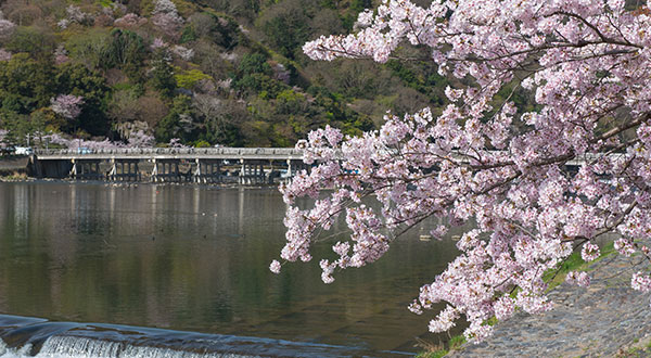 Arashiyama - Japan’s Most Spectacular Views