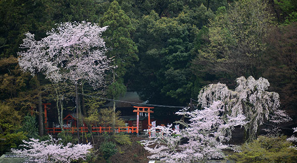 Arashiyama - Japan’s Most Spectacular Views