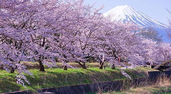 Mount Fuji - Japan’s Most Spectacular Views