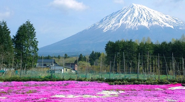 Mount Fuji - Japan’s Most Spectacular Views