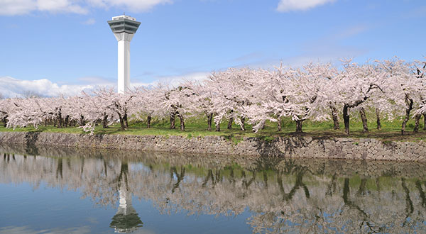 Goryokaku - Japan’s Most Spectacular Views