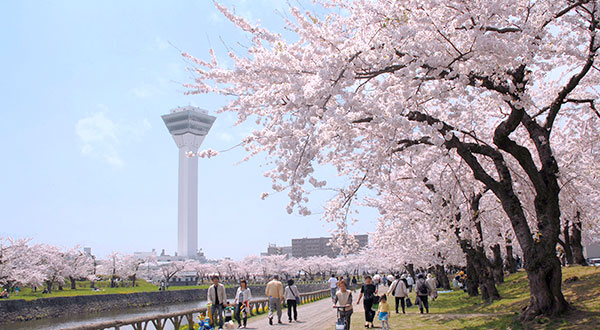 Goryokaku - Japan’s Most Spectacular Views