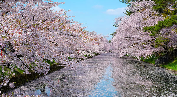 Hirosaki Castle - Japan’s Most Spectacular Views