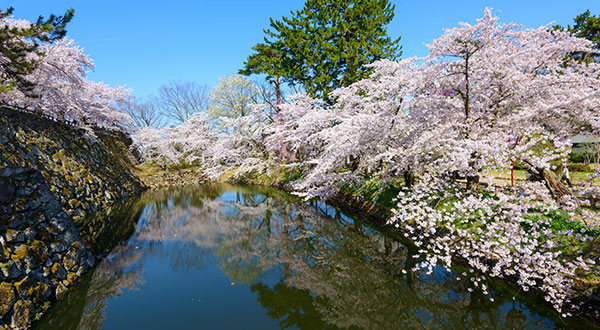 Hirosaki Castle (Aomori) - Japan’s Most Spectacular Views in Spring ...