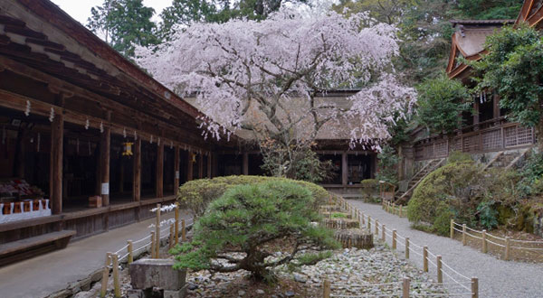 Goryokaku - Japan’s Most Spectacular Views