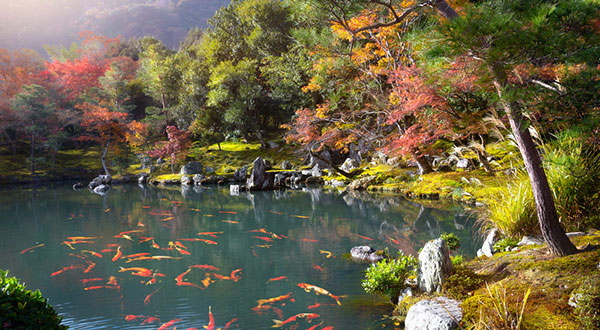 Arashiyama - Japan’s Most Spectacular Views