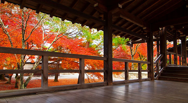 Arashiyama - Japan’s Most Spectacular Views