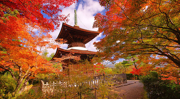 Arashiyama - Japan’s Most Spectacular Views