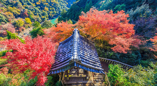 Arashiyama - Japan’s Most Spectacular Views