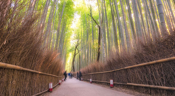 Arashiyama - Japan’s Most Spectacular Views