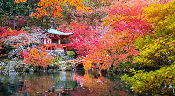 Daogo-ji Temple - Japan’s Most Spectacular Views In Autumn 