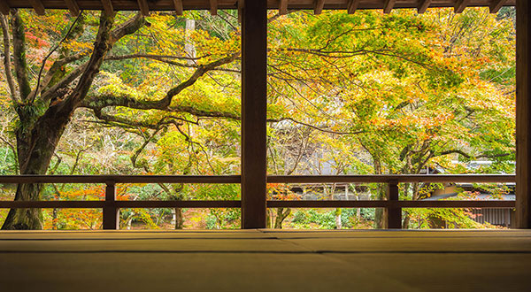 Dazaifu - Japan’s Most Spectacular Views