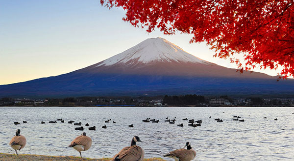 Fuji mount Mount Fuji