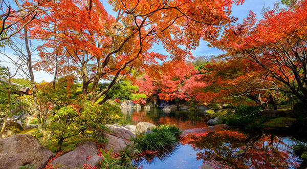 Himeji Castle - Japan’s Most Spectacular Views