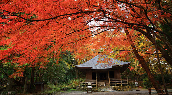 Hiraizumi Chusonji Temple - Japan’s Most Spectacular Views